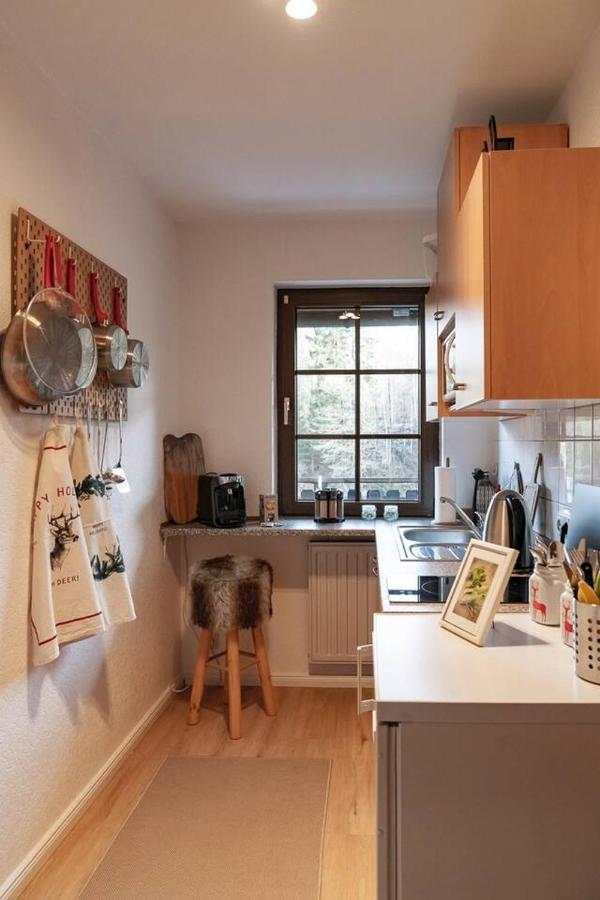 Das Waldseechalet Maerchenhafter Waldseeblick - Moderne Wohnung Mit Infrarotsauna Hasselfelde Exteriör bild