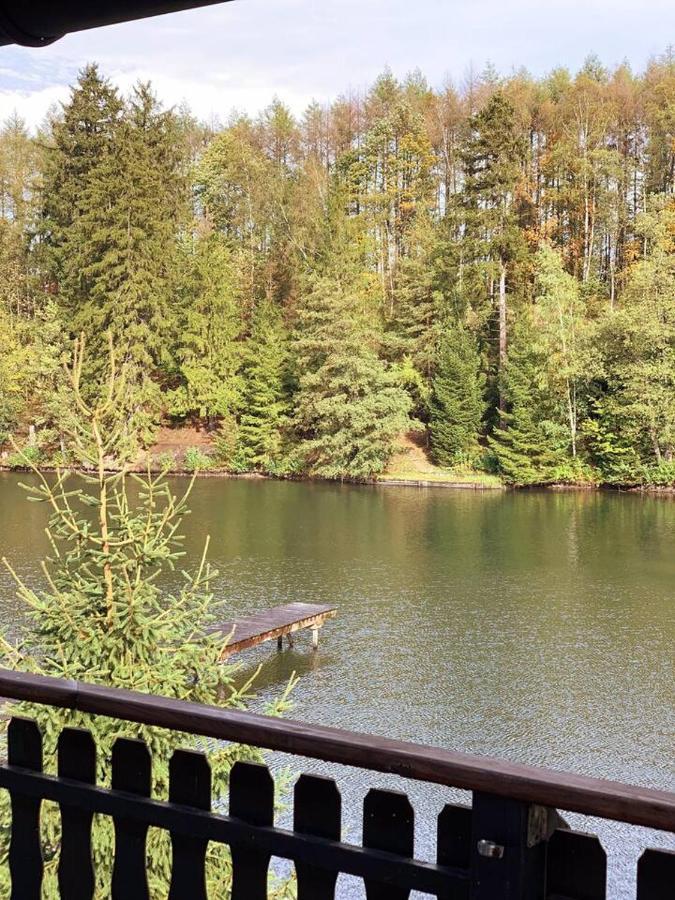 Das Waldseechalet Maerchenhafter Waldseeblick - Moderne Wohnung Mit Infrarotsauna Hasselfelde Exteriör bild