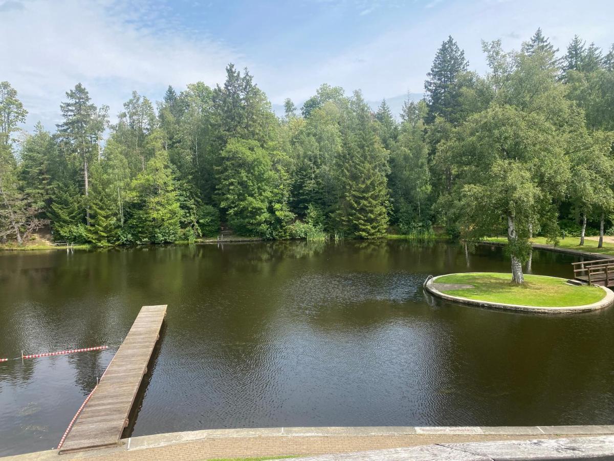 Das Waldseechalet Maerchenhafter Waldseeblick - Moderne Wohnung Mit Infrarotsauna Hasselfelde Exteriör bild