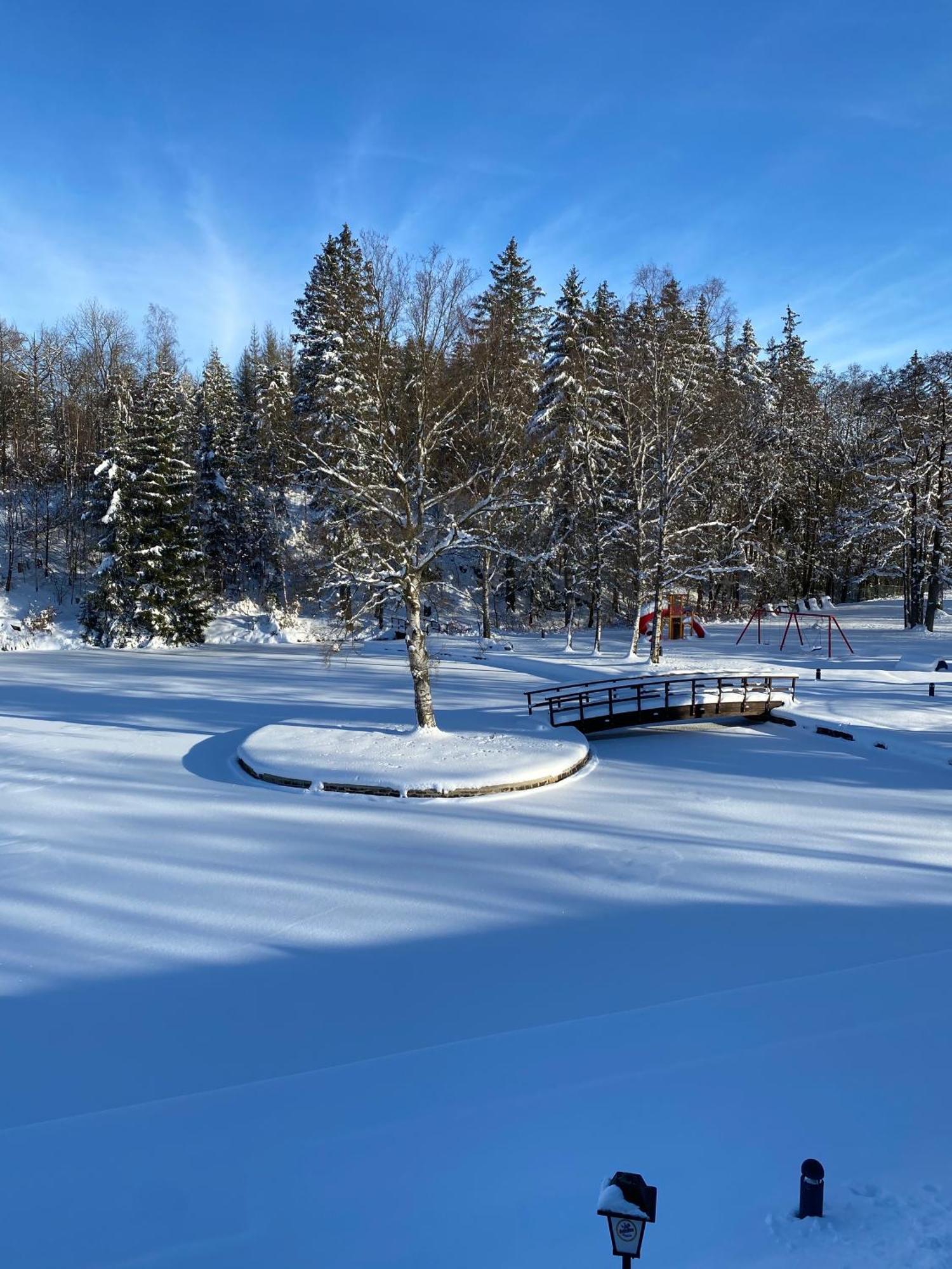 Das Waldseechalet Maerchenhafter Waldseeblick - Moderne Wohnung Mit Infrarotsauna Hasselfelde Exteriör bild