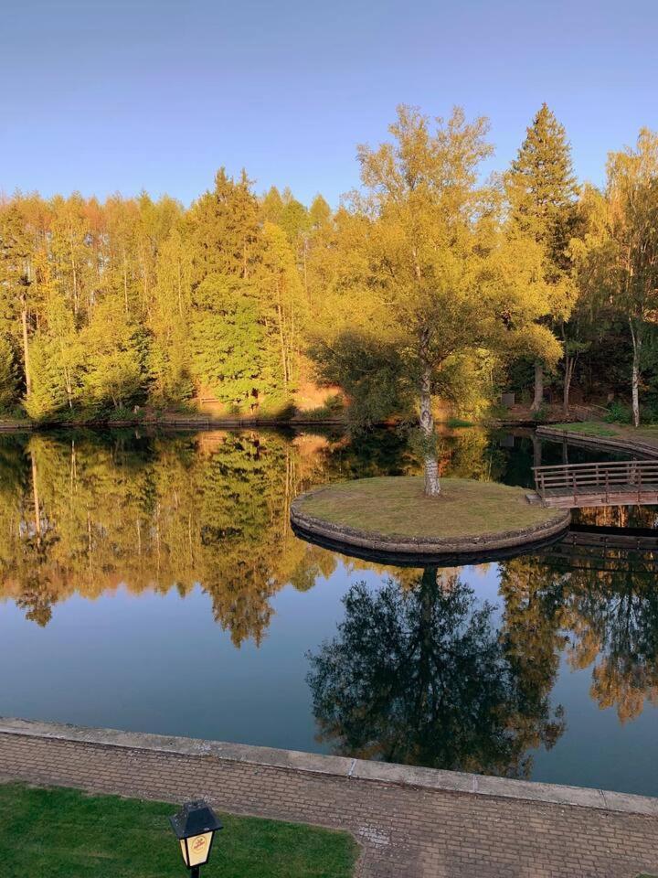Das Waldseechalet Maerchenhafter Waldseeblick - Moderne Wohnung Mit Infrarotsauna Hasselfelde Exteriör bild