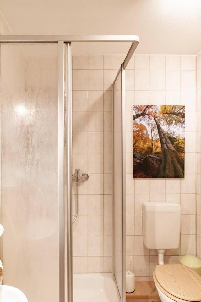 Das Waldseechalet Maerchenhafter Waldseeblick - Moderne Wohnung Mit Infrarotsauna Hasselfelde Exteriör bild